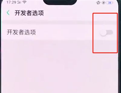 oppo手机中打开开发者选项的详细步骤截图