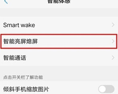 vivoz3x设置抬手亮屏的操作方法截图