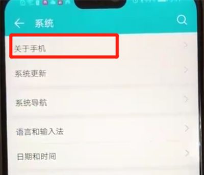 荣耀8x打开开发者模式的操作教程截图