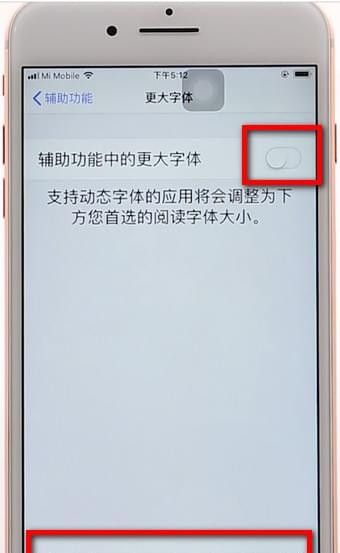 苹果手机调整字体的操作过程截图