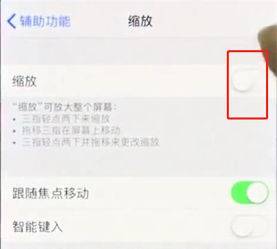 iphonex中使用缩放的操作步骤截图