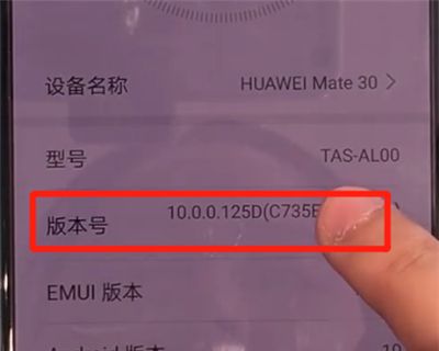 华为mate30中开启开发人员选项的操作教程截图