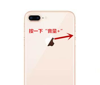 iPhone8 plus 强制重启的操作方法截图