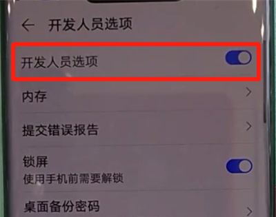 华为mate30pro中关闭开发人员选项的操作教程截图