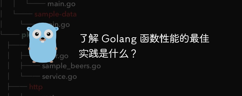 了解 Golang 函数性能的最佳实践是什么？