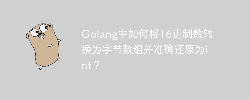 golang中如何将16进制数转换为字节数组并准确还原为int？