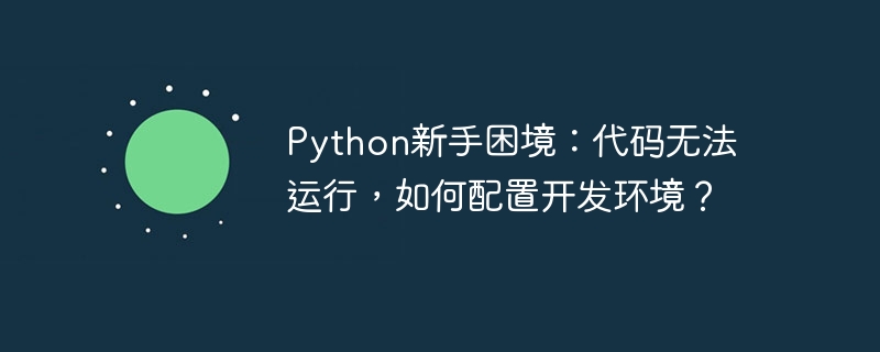 python新手困境：代码无法运行，如何配置开发环境？