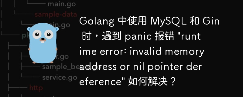 golang 中使用 mysql 和 gin 时，遇到 panic 报错 