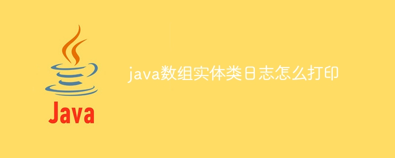 java数组实体类日志怎么打印