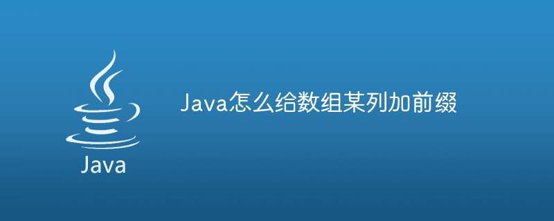 Java怎么给数组某列加前缀