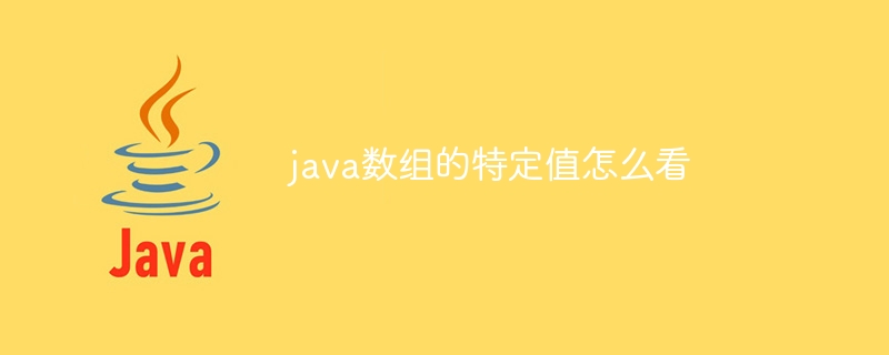 java数组的特定值怎么看