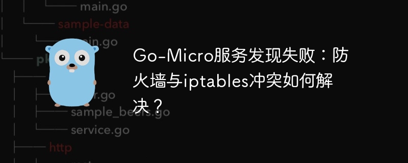 go-micro服务发现失败：防火墙与iptables冲突如何解决？