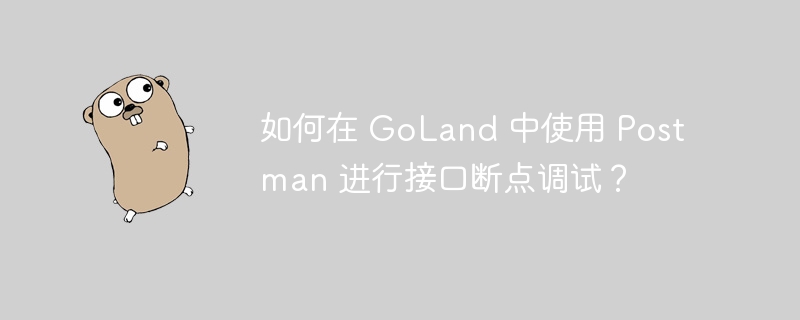 如何在 goland 中使用 postman 进行接口断点调试？