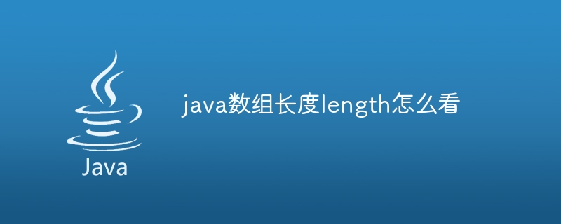 java数组长度length怎么看