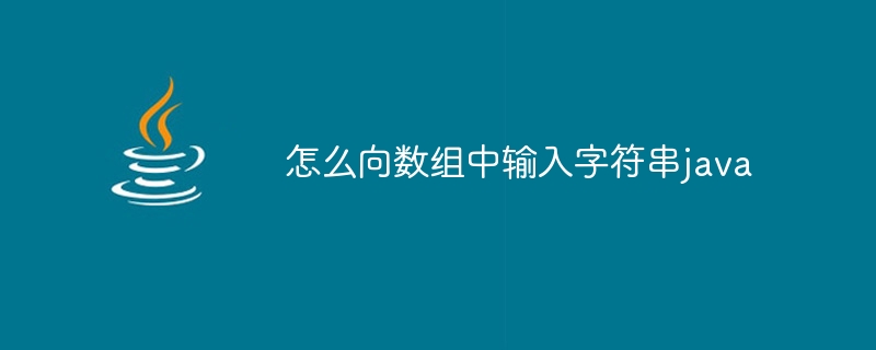 怎么向数组中输入字符串java