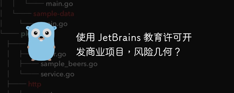 使用 jetbrains 教育许可开发商业项目，风险几何？