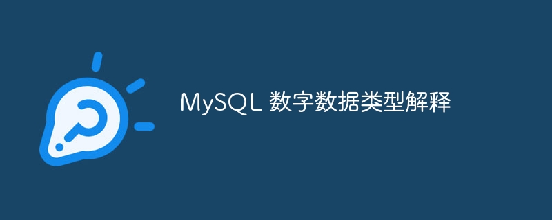 mysql 数字数据类型解释