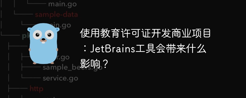 使用教育许可证开发商业项目：jetbrains工具会带来什么影响？