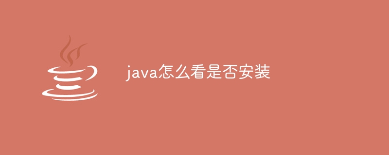 java怎么看是否安装